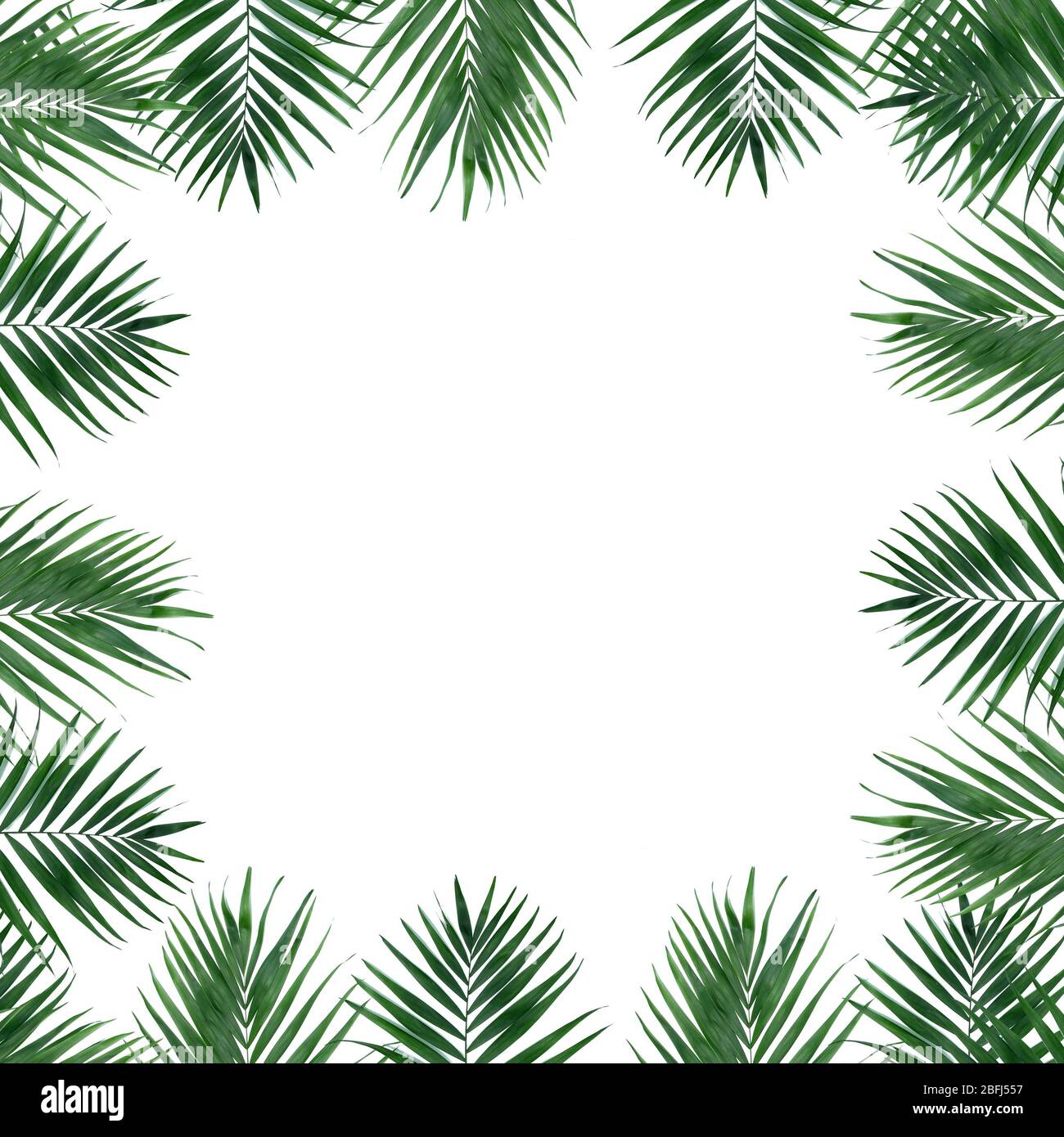 Beautiful palm leaves shaped as frame with space for your text Stock ...