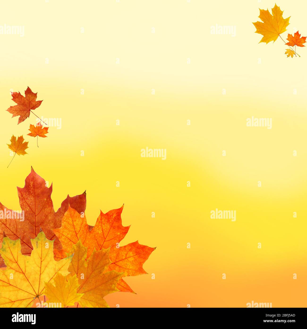 Autumn leaves shaped as frame with space for your text Stock Photo - Alamy
