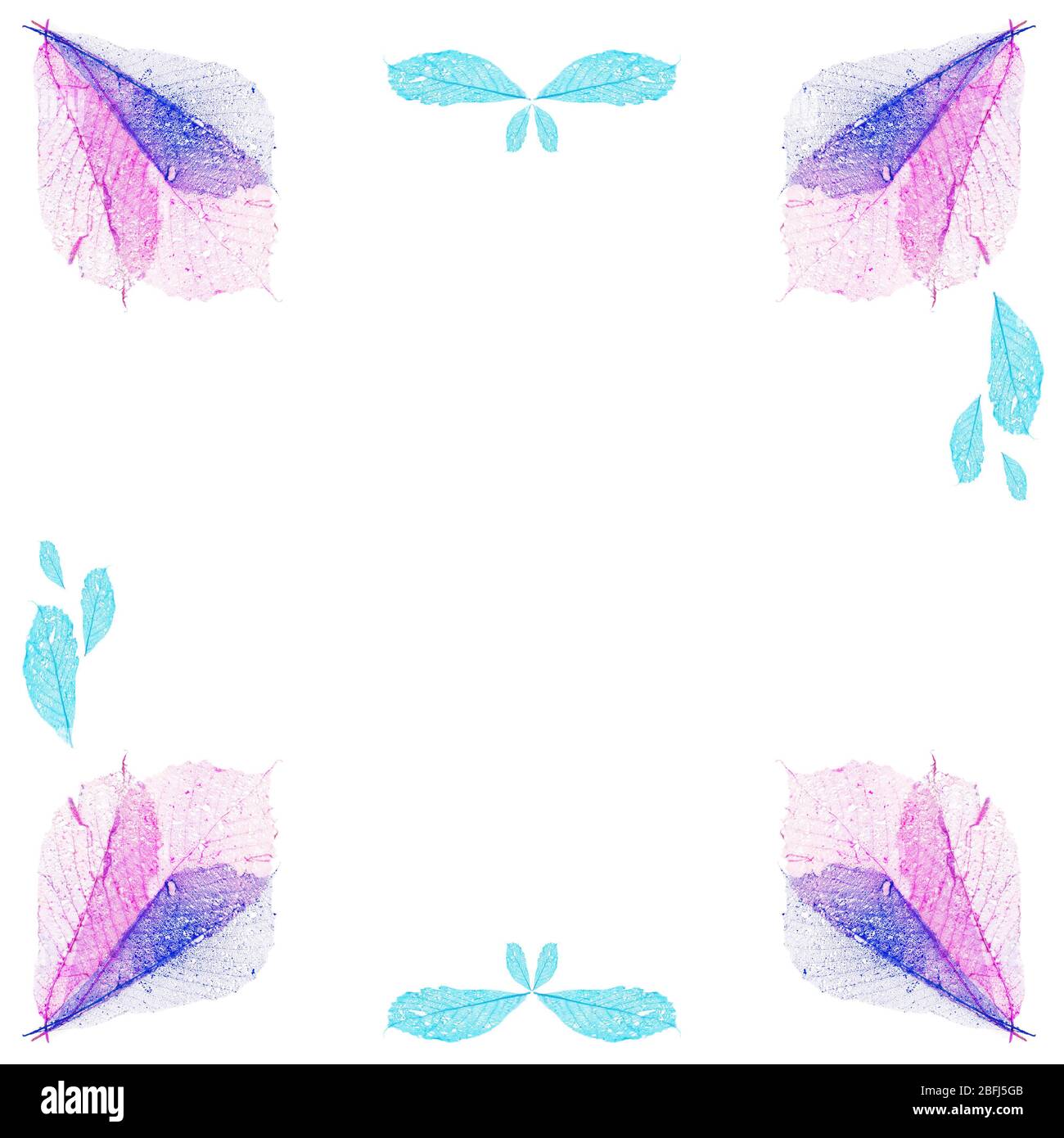 Delicate colored leaves shaped as frame with space for your text Stock ...
