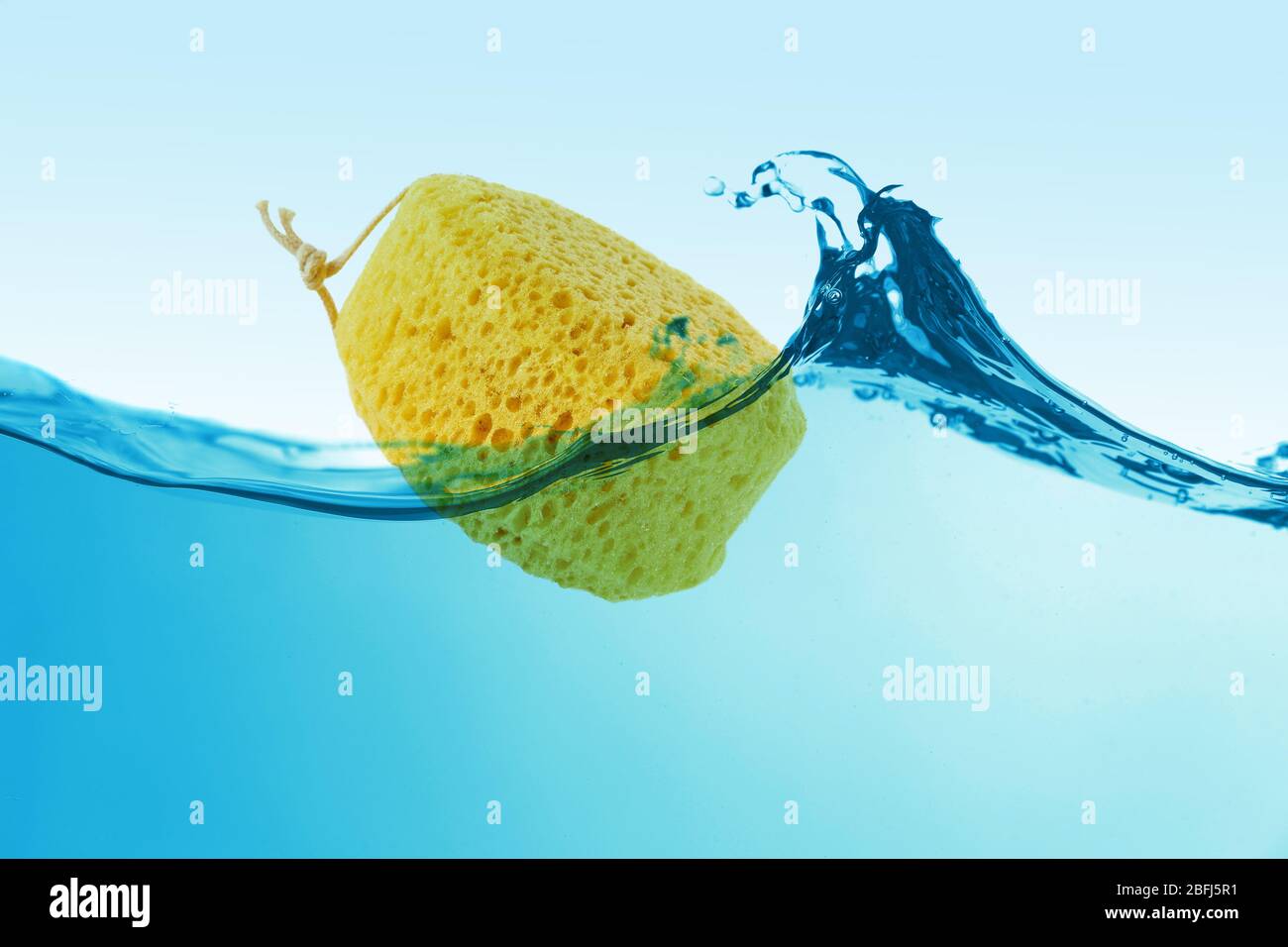Sponge in water hires stock photography and images Alamy