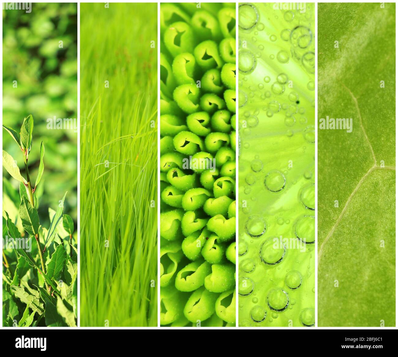 Green color samples collage Stock Photo Alamy