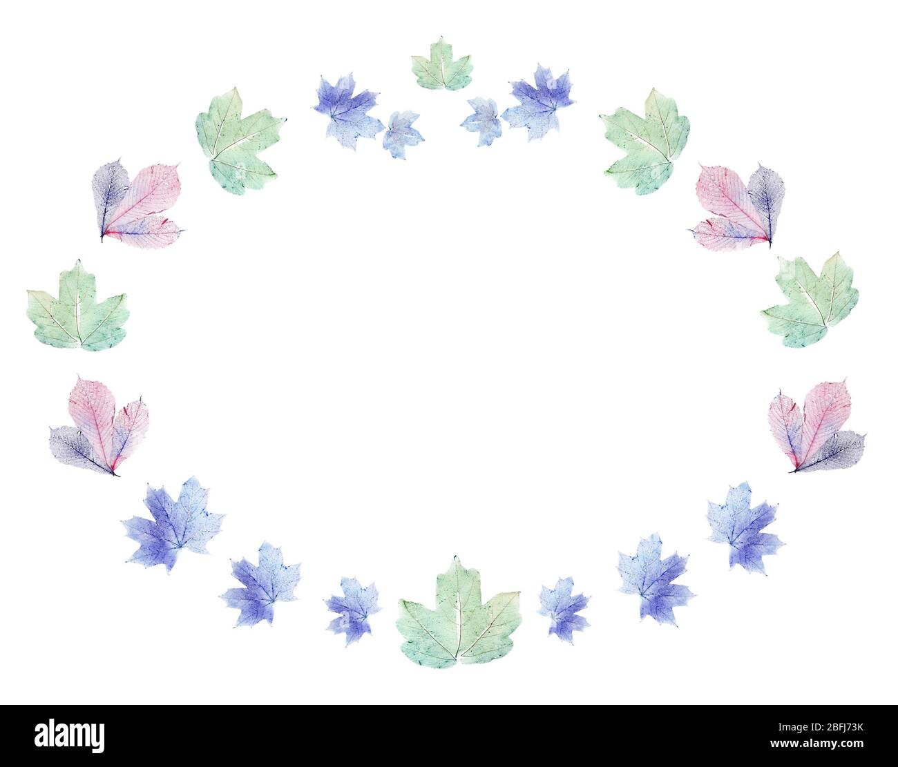 Delicate colored leaves shaped as frame with space for your text Stock ...