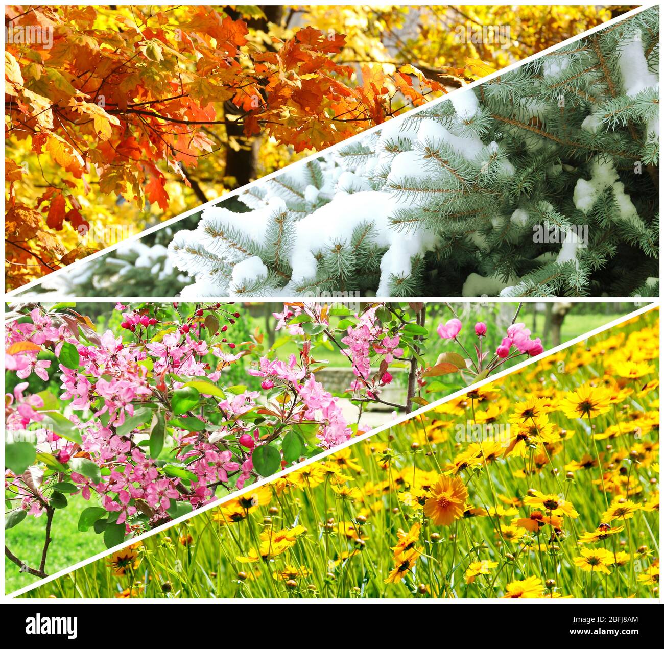 Four seasons collage spring summer hi-res stock photography and