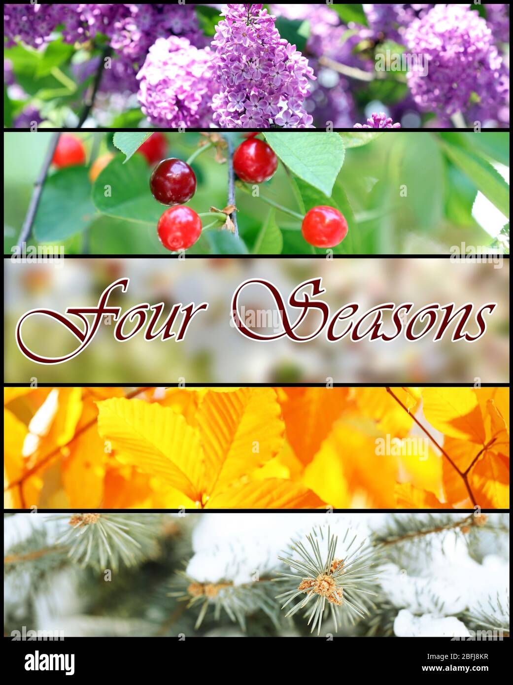Four seasons collage with space for text: winter, spring, summer ...