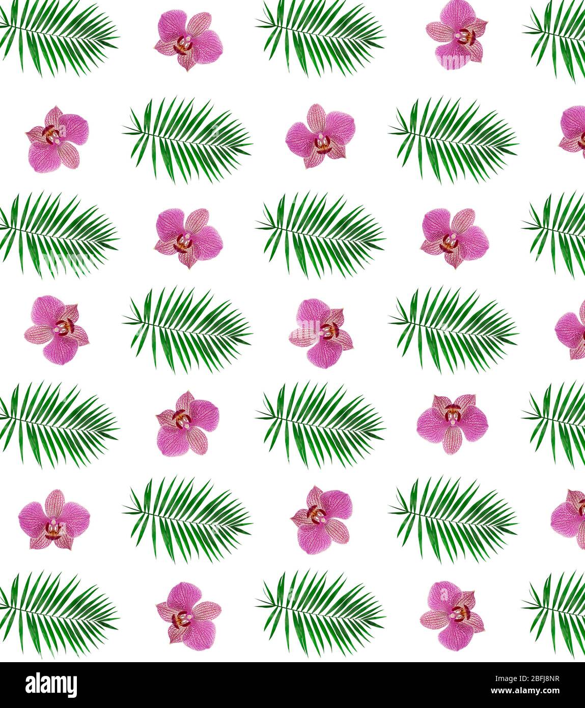 Orchid flowers and palm tree leaves as wallpaper Stock Photo - Alamy