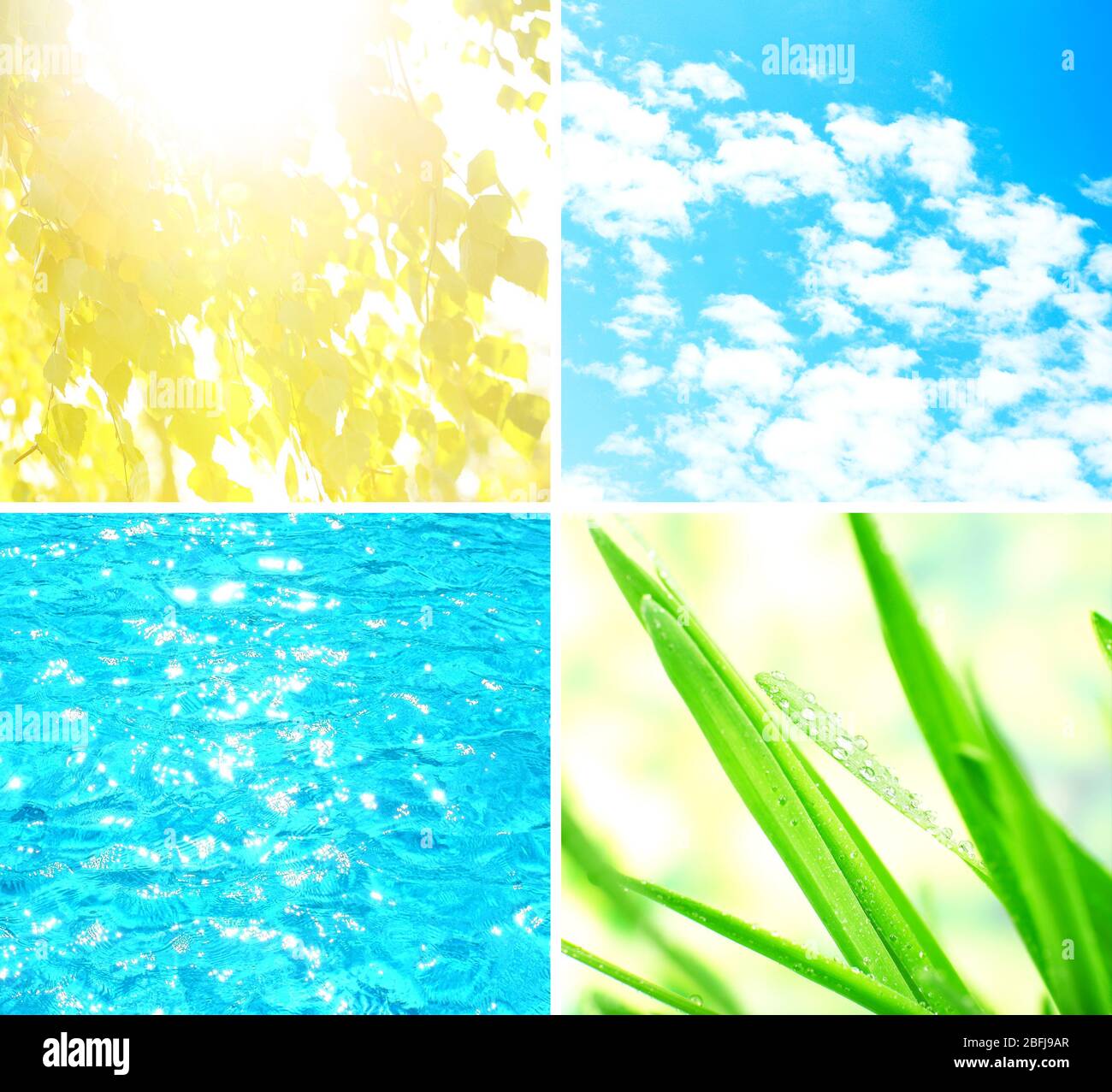 Water, plant, sky and sun in collage, nature components concept Stock ...