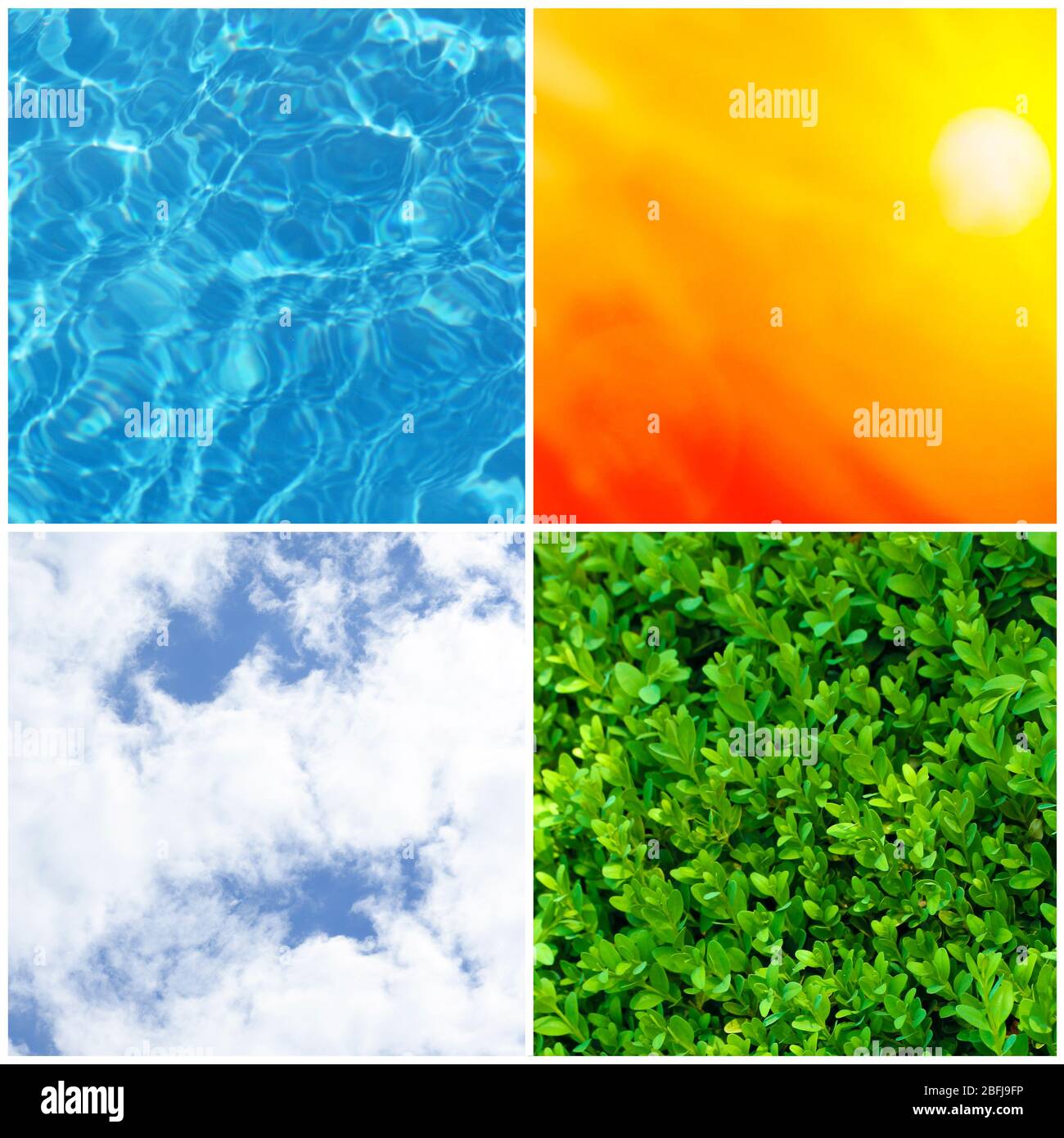 Water, plant, sky and sun in collage, nature components concept Stock ...