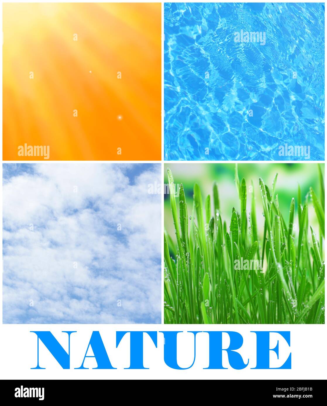 Water, plant, sky and sun in collage, nature components concept Stock ...