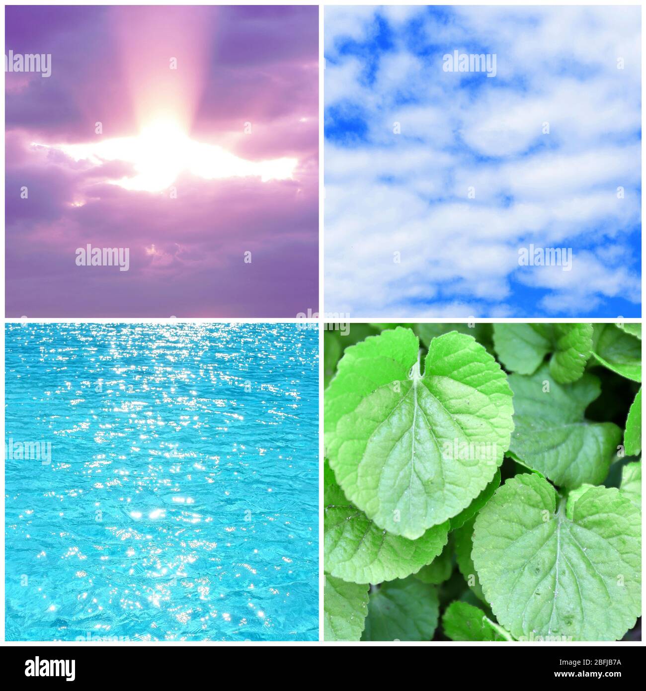 Water, plant, sky and sun in collage, nature components concept Stock ...