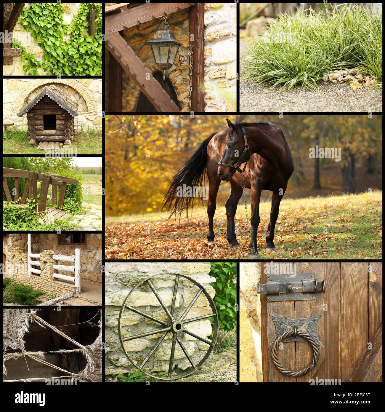 Wooden wheel ivy hi-res stock photography and images - Alamy