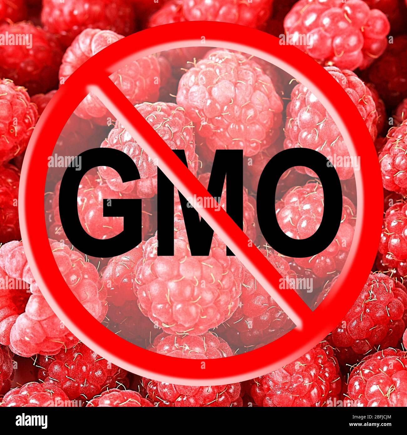 Gmo Raspberries Ripe sweet raspberries without gmo Stock Photo - Alamy