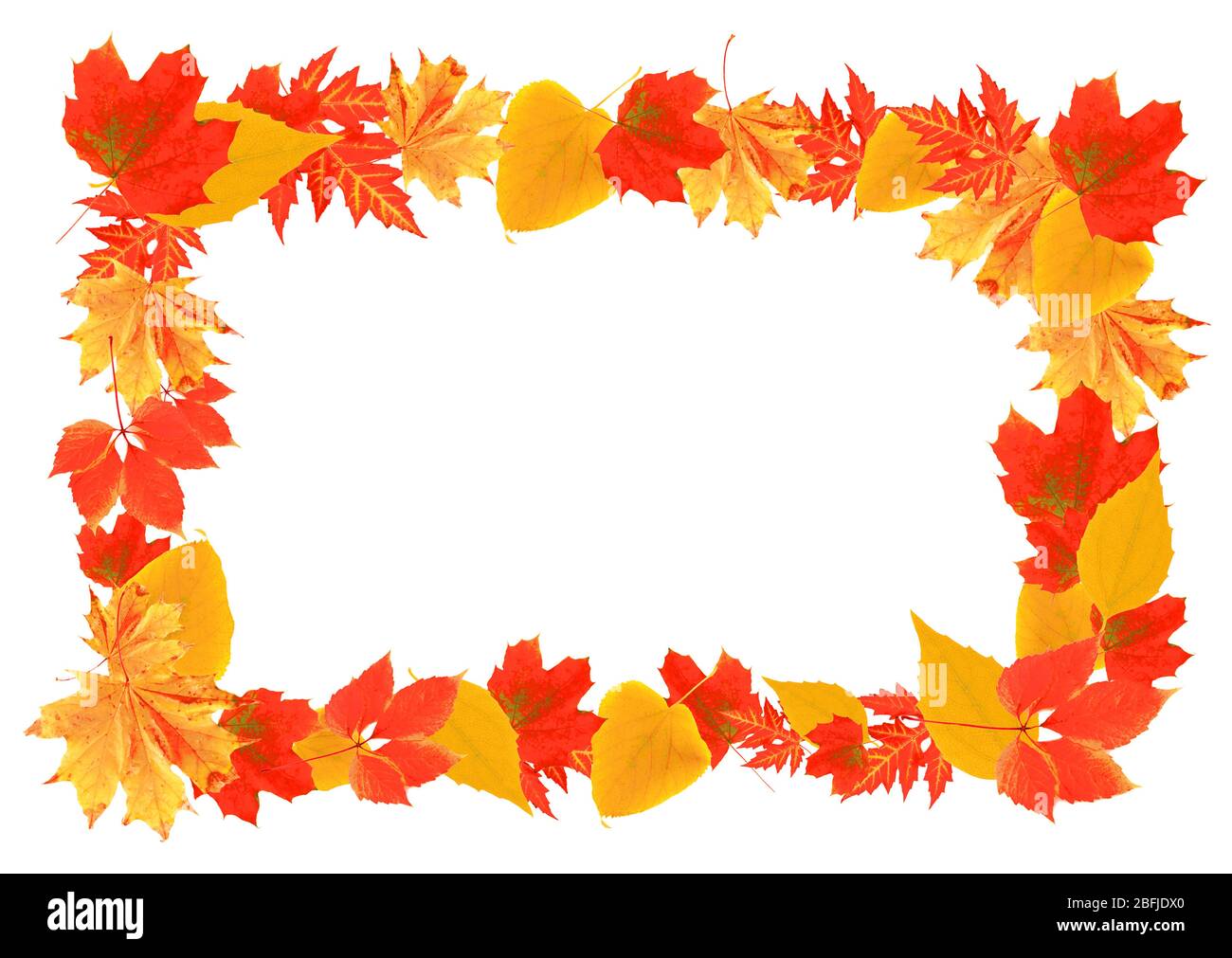 Frame of autumn leaves isolated on white Stock Photo - Alamy