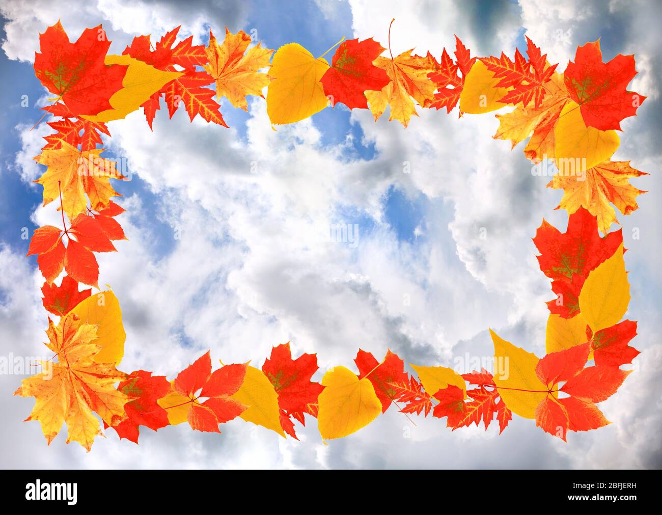 Frame of autumn leaves on sky background Stock Photo - Alamy
