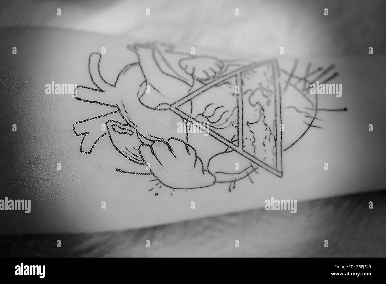 Process of making tattoo, close up Stock Photo Alamy