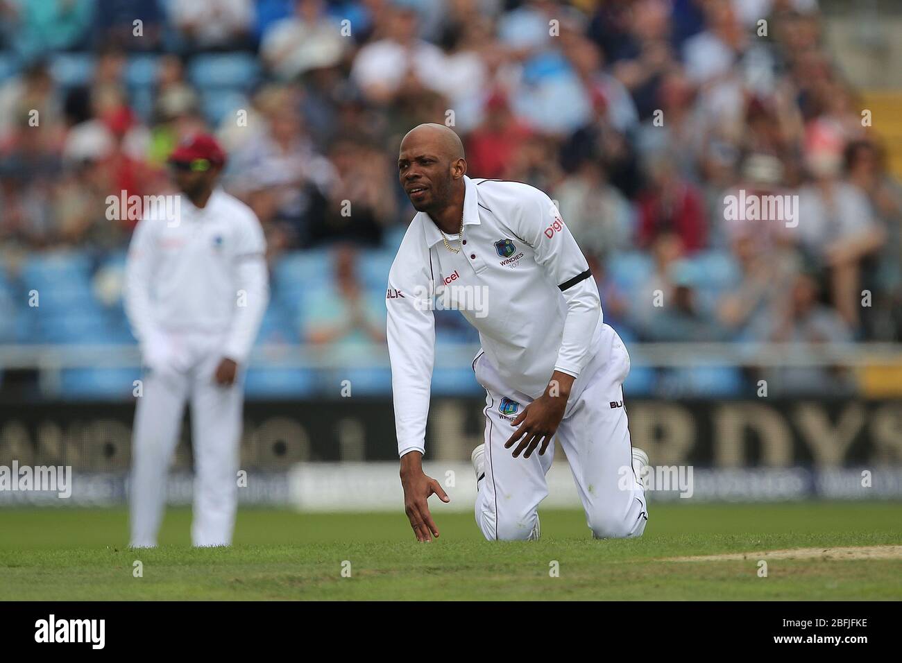 Fletcher chase hires stock photography and images Alamy