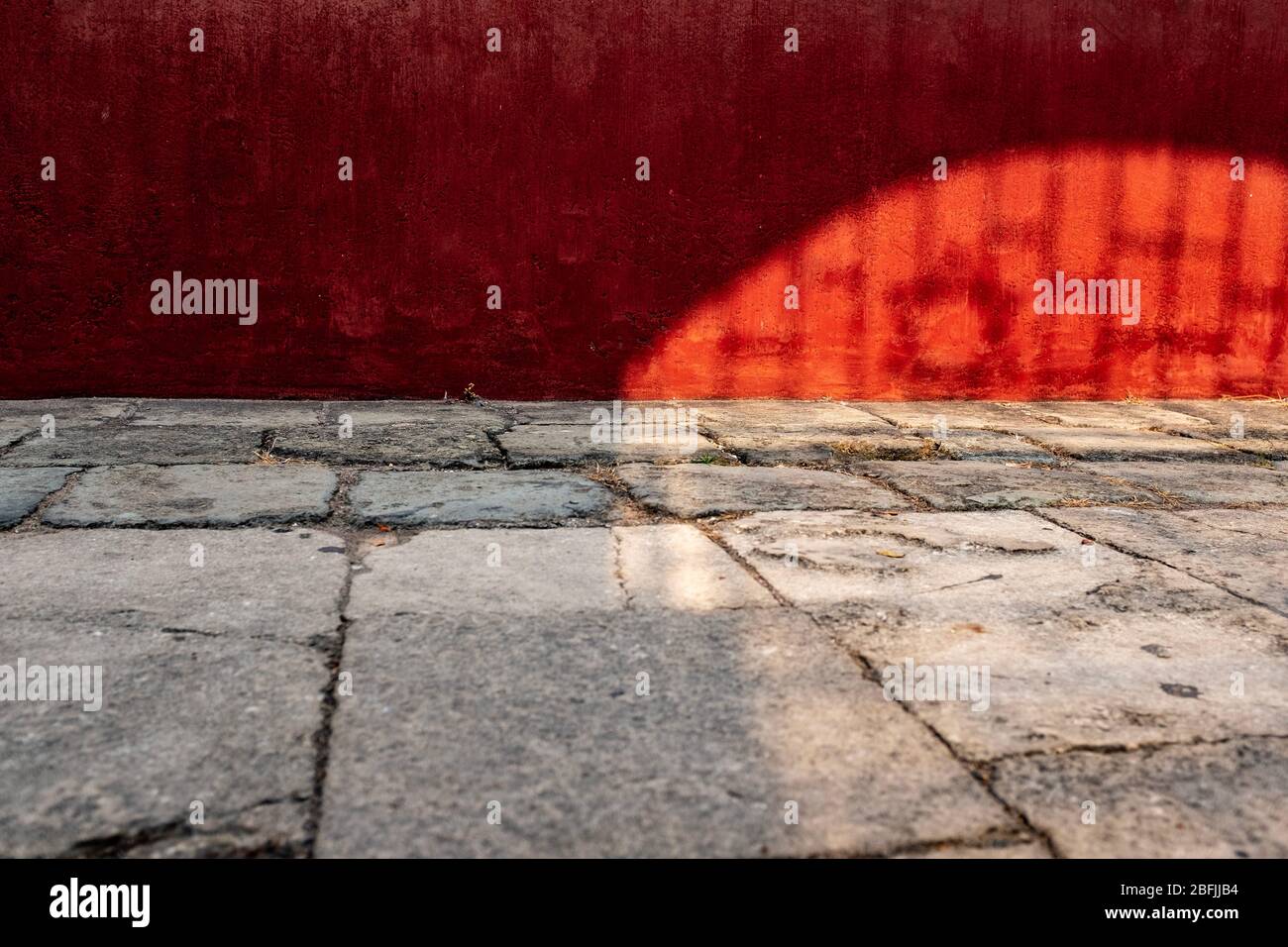 Shadow O' Edizione Speciale nere