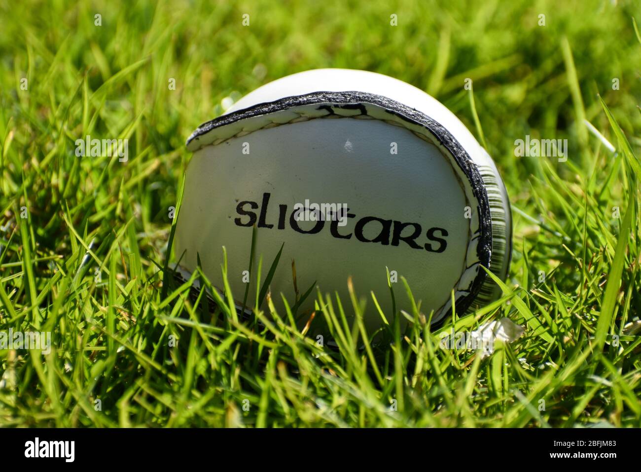 Irish Hurling or Camogie sliotar ball on a grass playing field Stock Photo