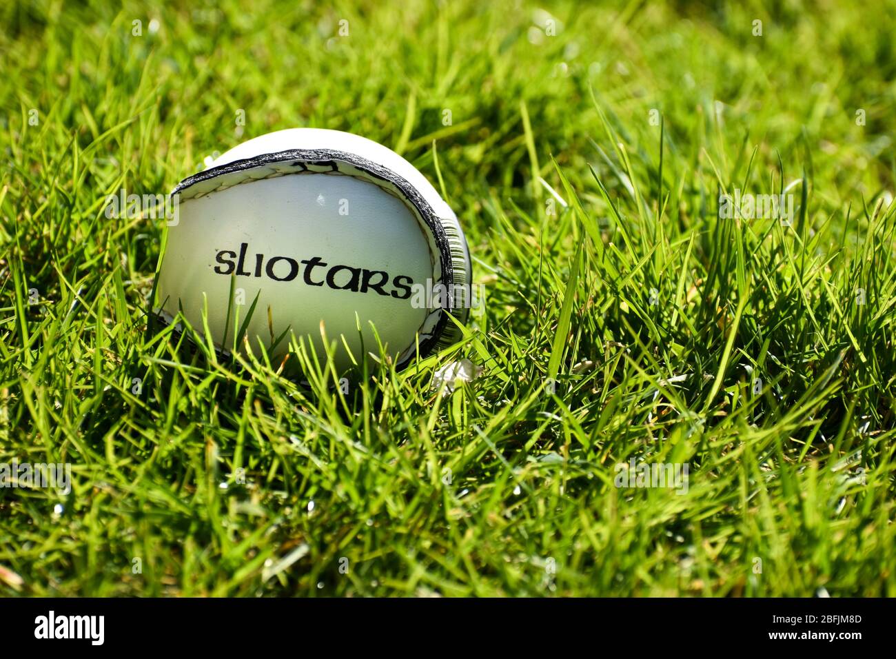 Irish Hurling or Camogie sliotar ball on a grass playing field Stock Photo