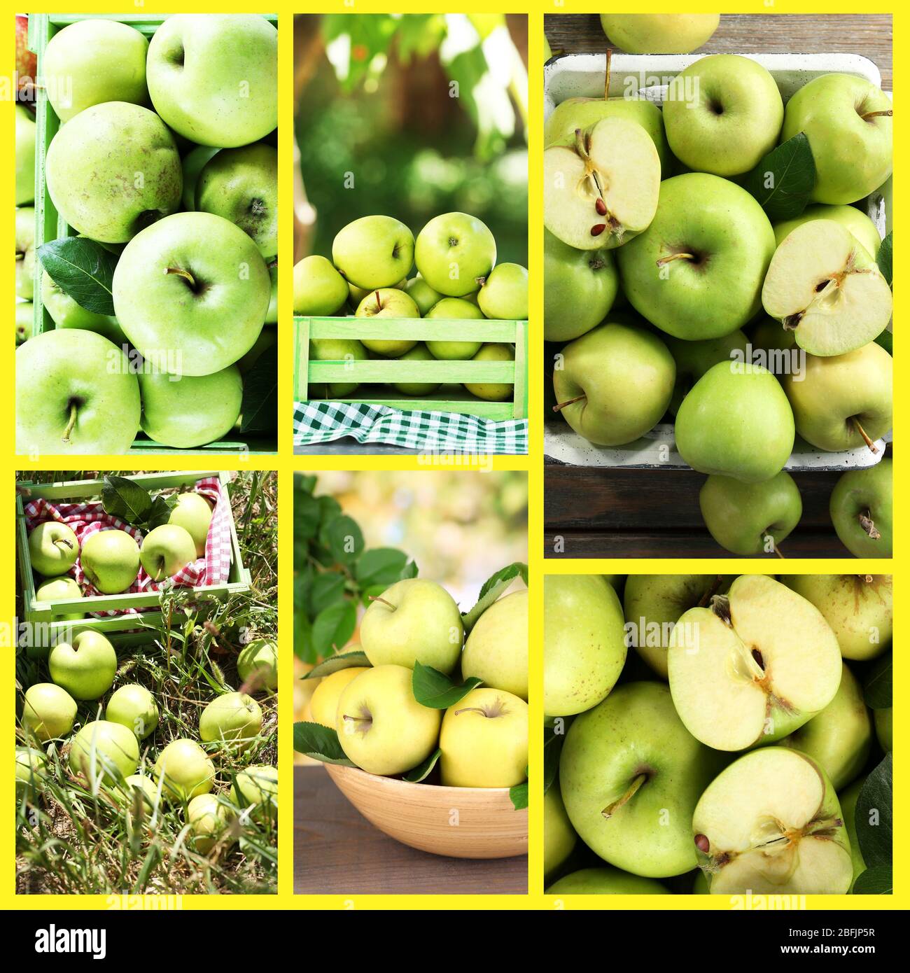 Collage of apples Stock Photo - Alamy