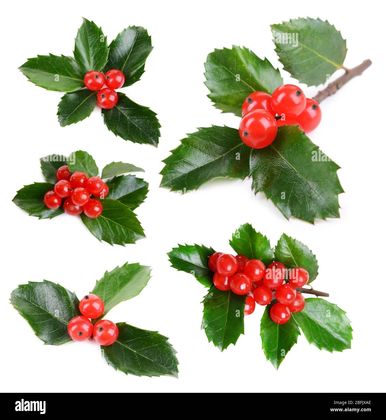 Leaves of mistletoe with berries collage, isolated on white Stock Photo ...