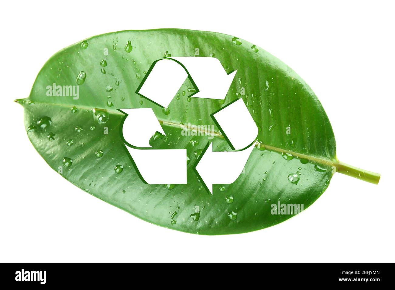 Recycle symbol on green leaf, recycling concept Stock Photo - Alamy