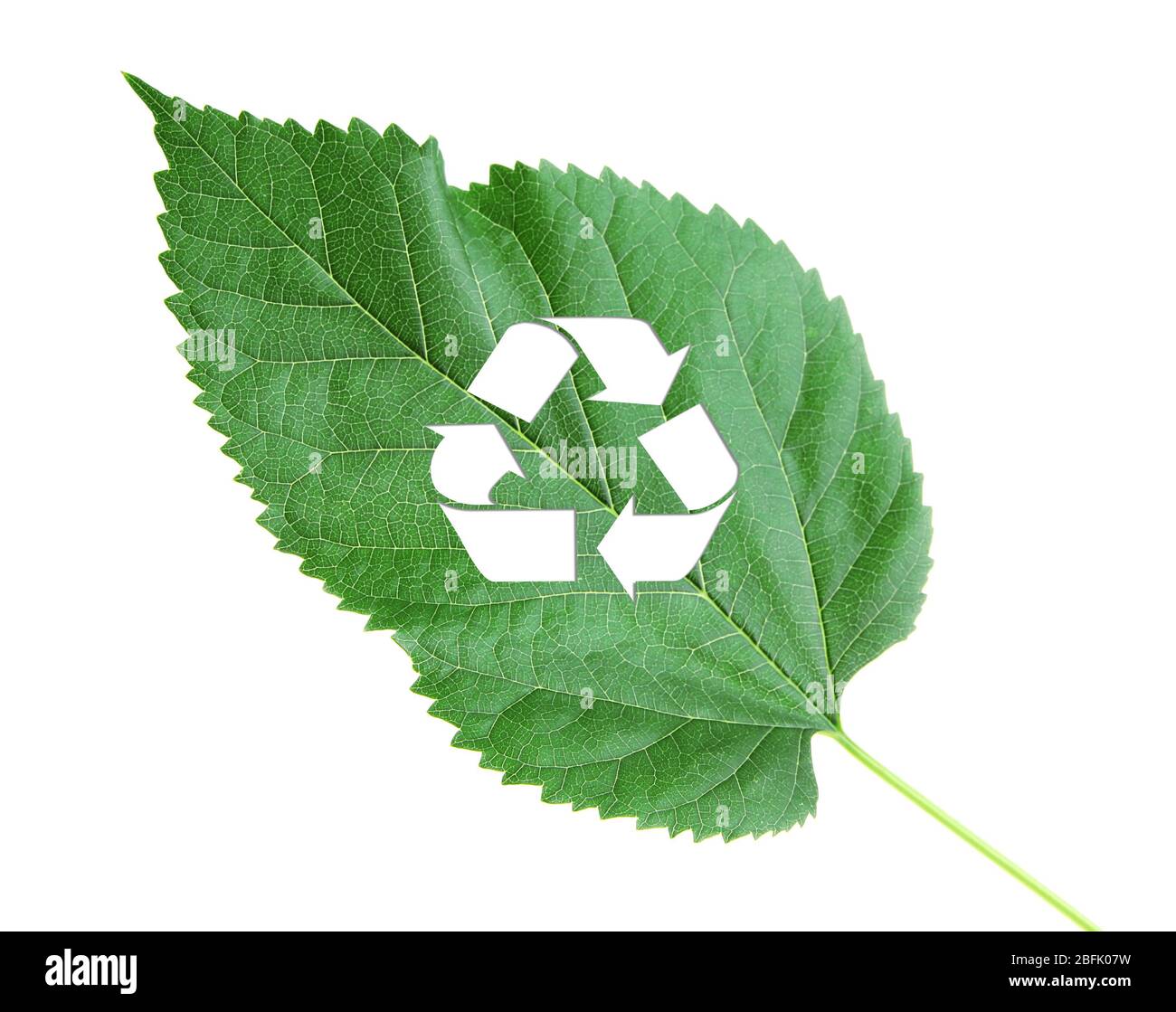 Recycle symbol on green leaf, recycling concept Stock Photo - Alamy