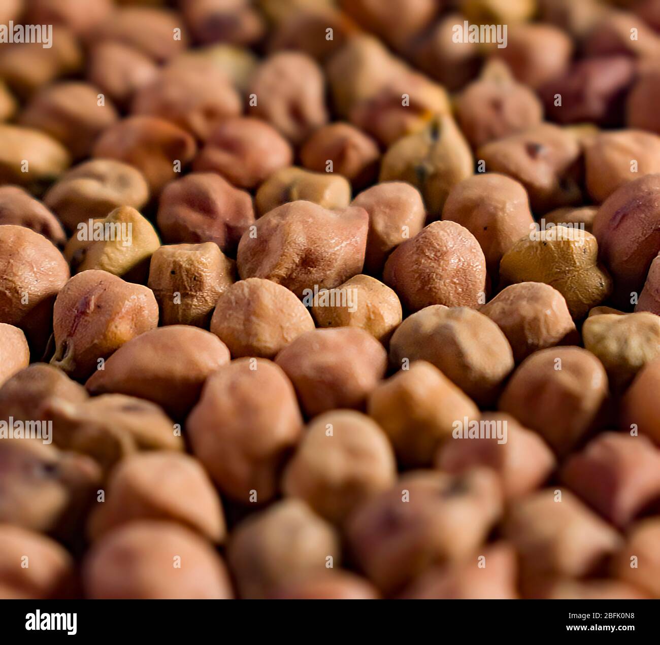 The chickpea or chick pea (Cicer arietinum) is an annual legume of the family Fabaceae, subfamily Faboideae. Selective focus. Stock Photo