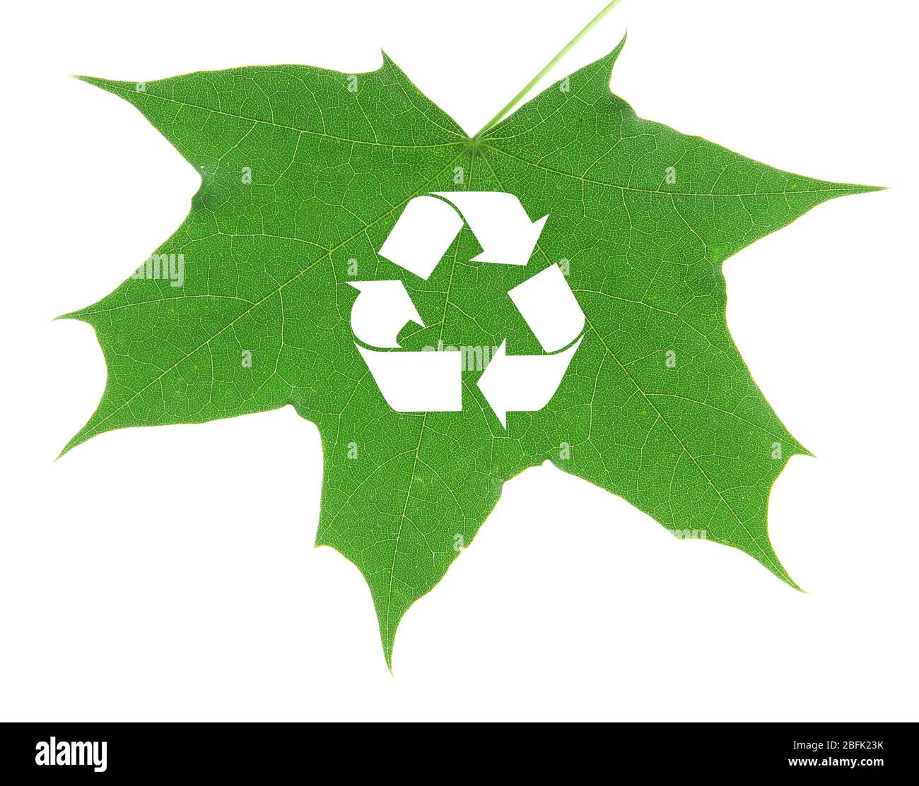 Recycle symbol on green leaf, recycling concept Stock Photo - Alamy