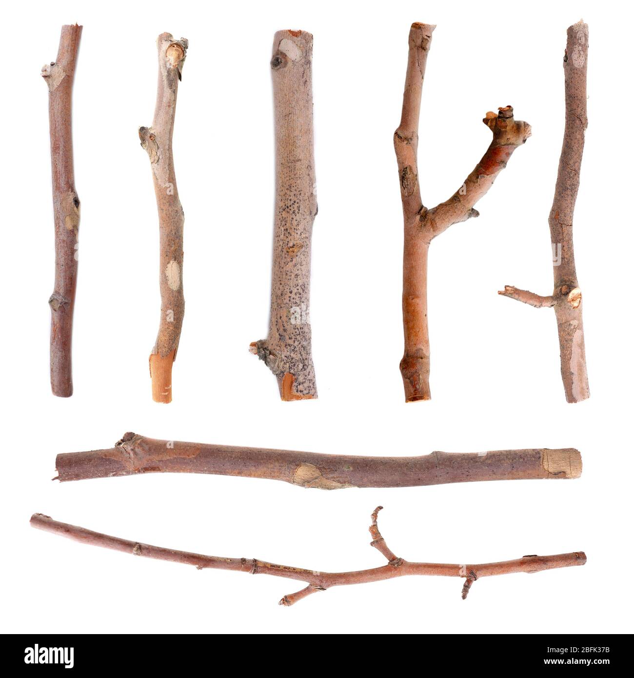 Dry tree branches isolated on white Stock Photo Alamy