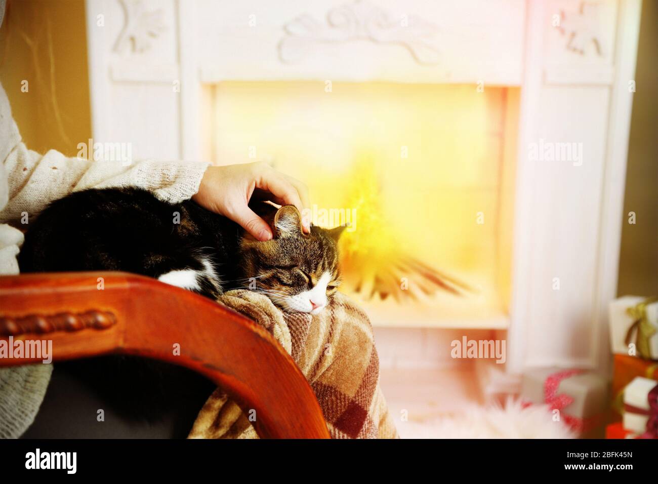 Woman and cute cat sitting on rocking chair in the front of the ...