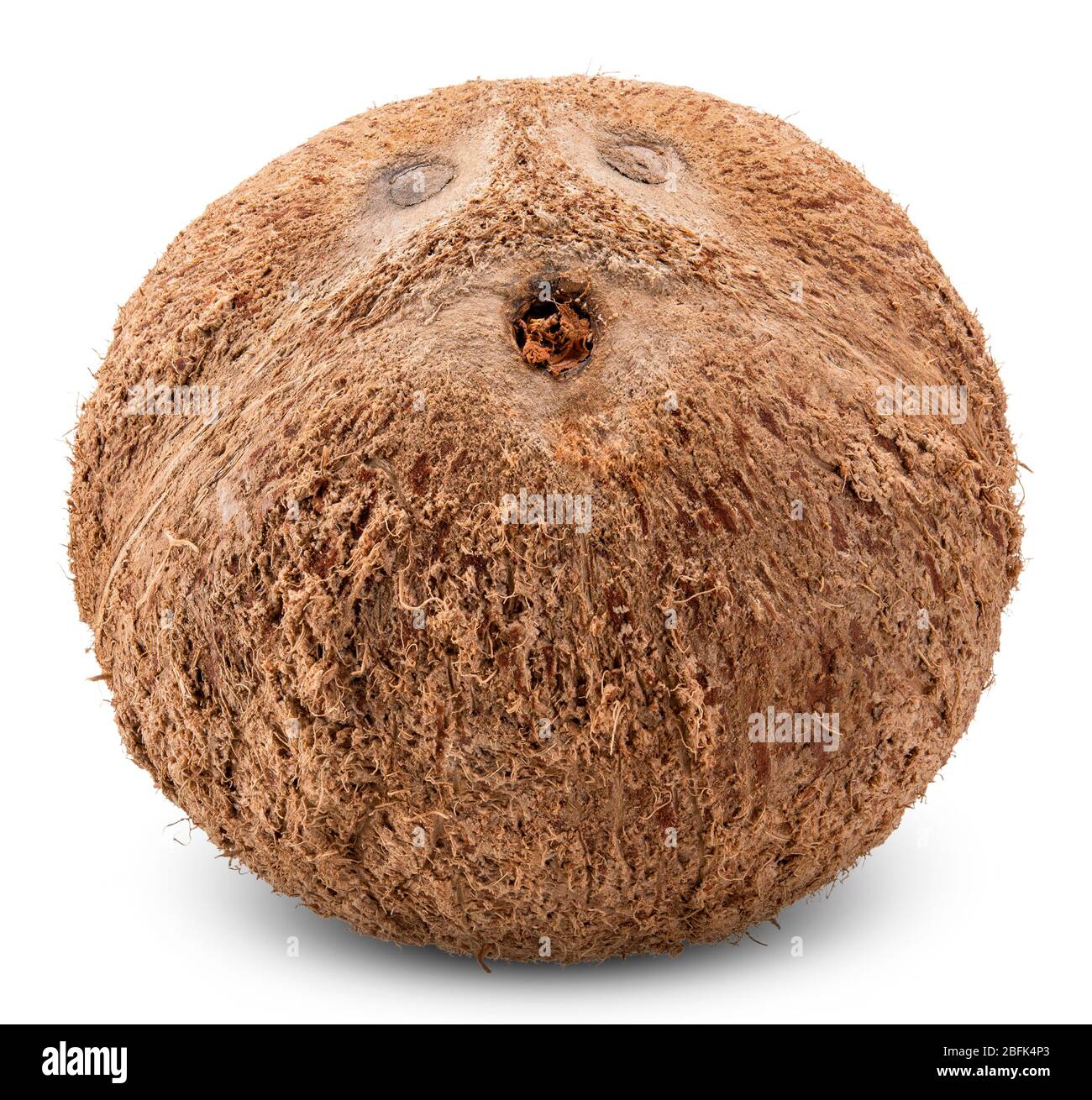 coconut isolated on white, coconut clipping path Stock Photo
