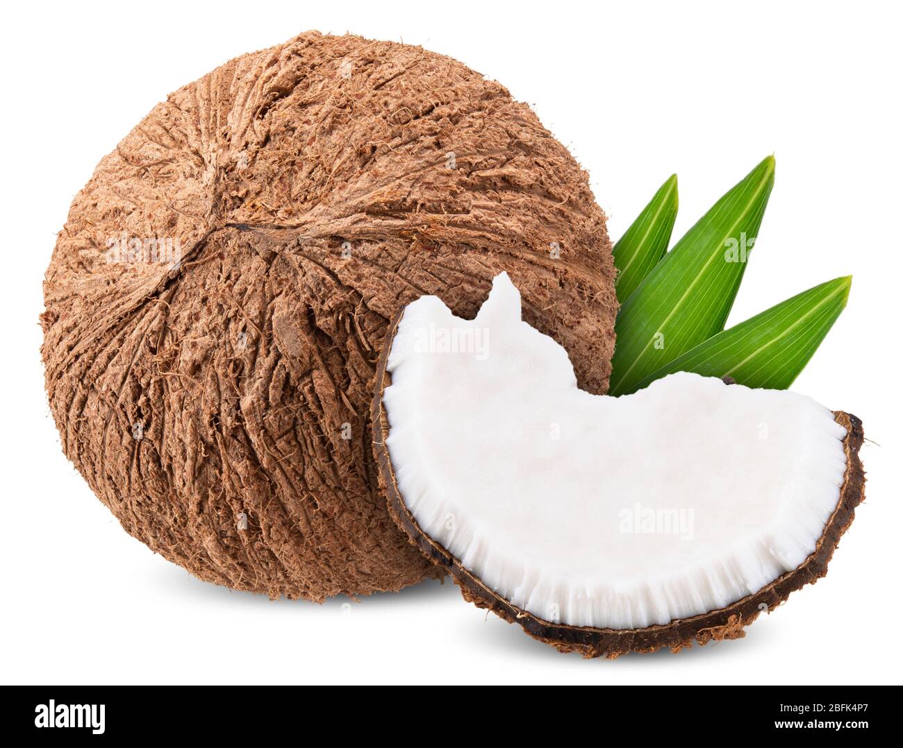 coconut isolated on white, coconut clipping path all focus Stock Photo