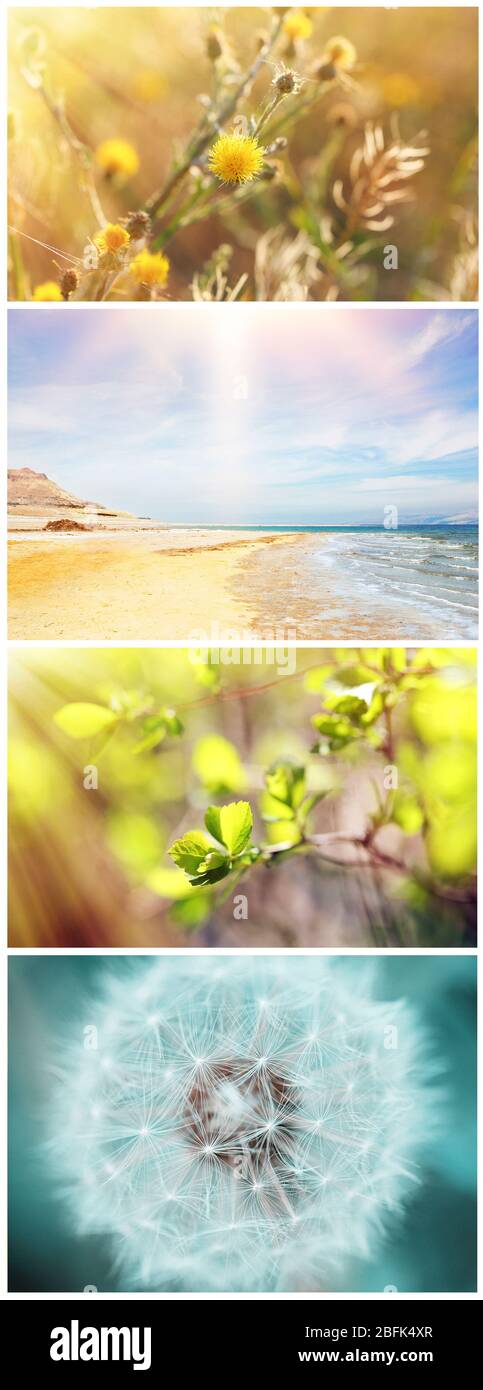 Beautiful nature collage Stock Photo