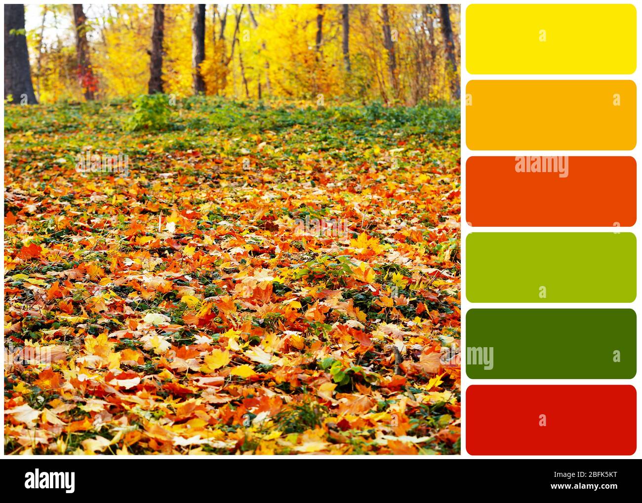 Beautiful Autumn Park And Palette Of Colors Stock Photo Alamy