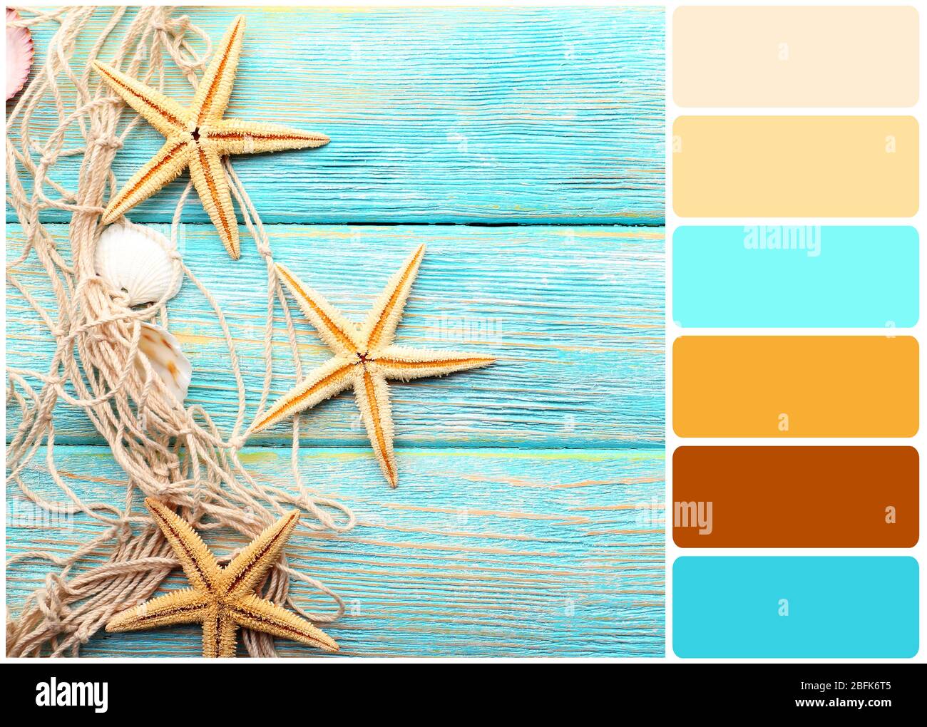 Shell Star Colour In Sea stars and shells on wooden background and palette of colors Stock ...