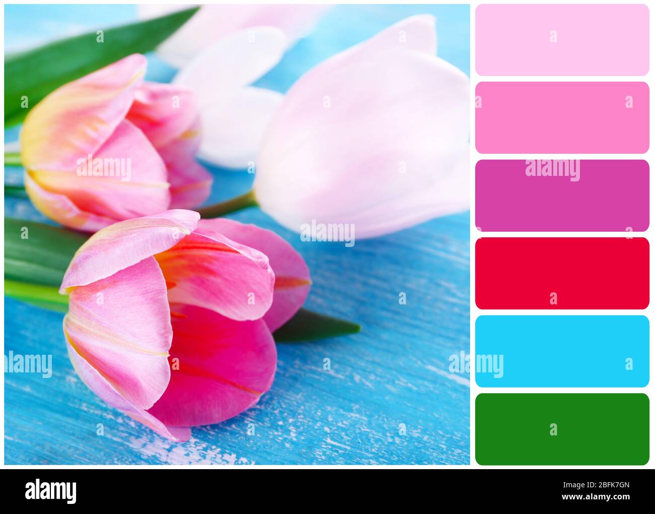 Beautiful tulips on color wooden table and palette of colors Stock Photo