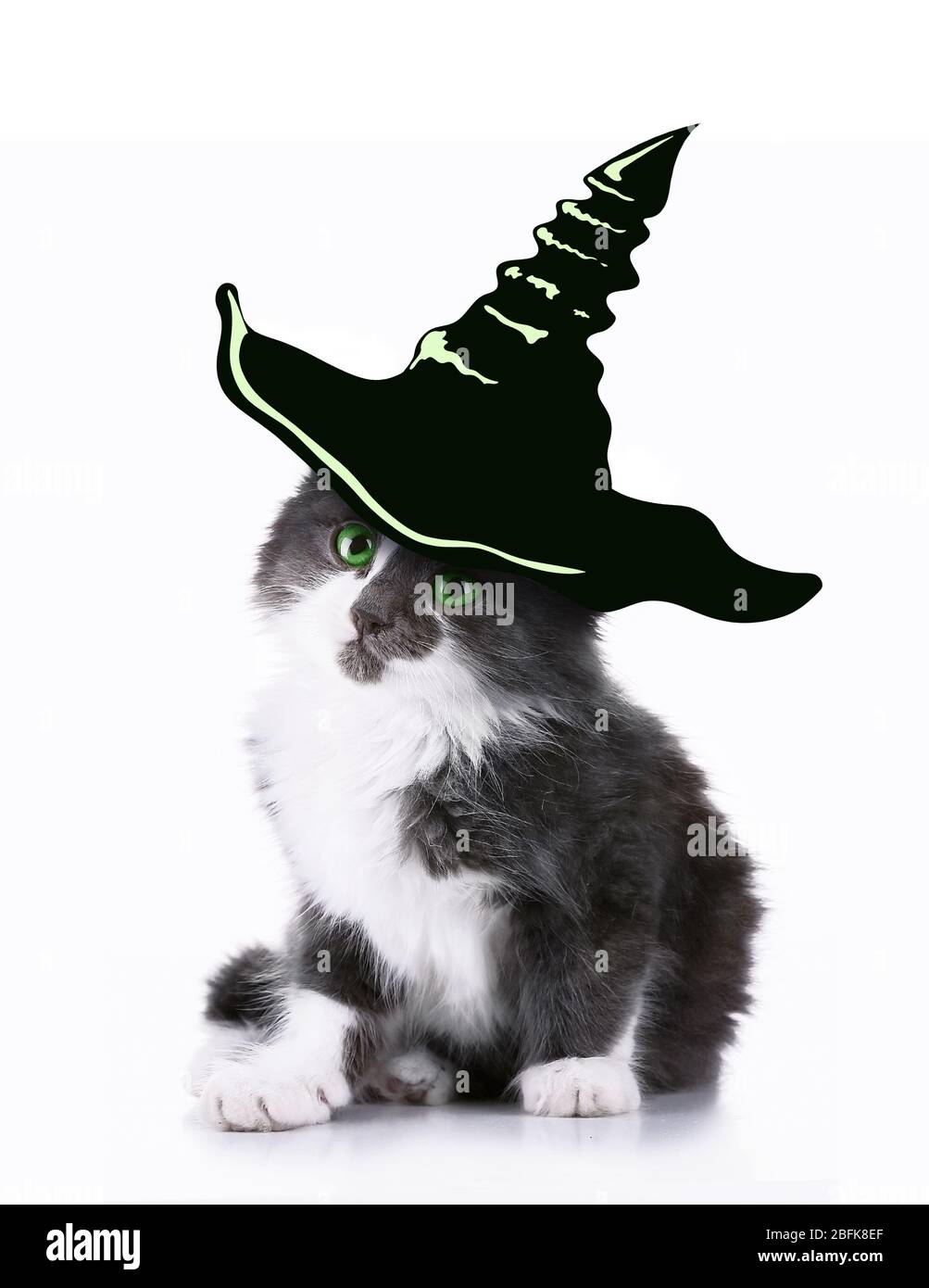 Cat with witch hat for halloween, isolated on white Stock Photo