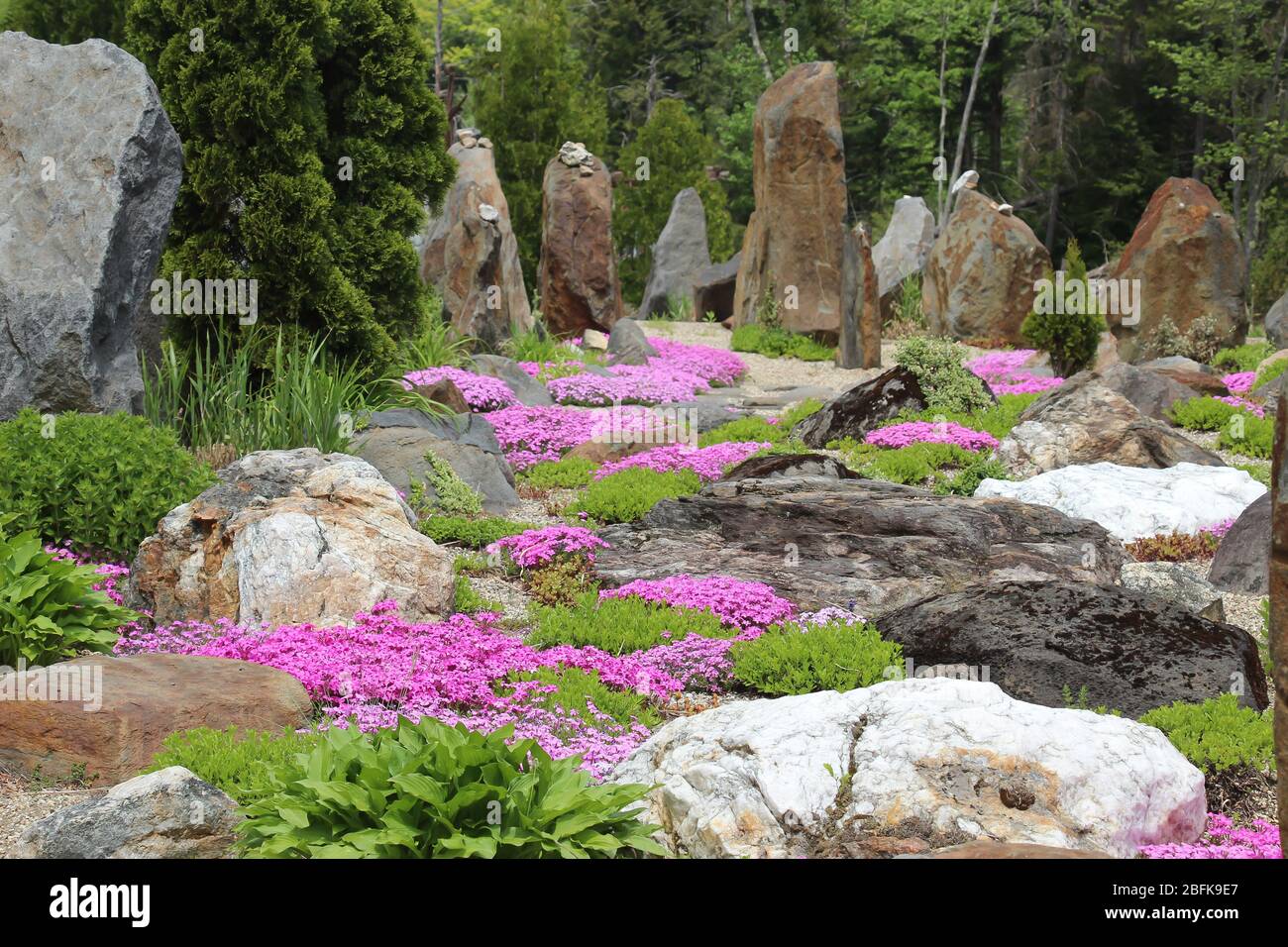 beautiful rock garden interspersed with phlox and greenery in full ...