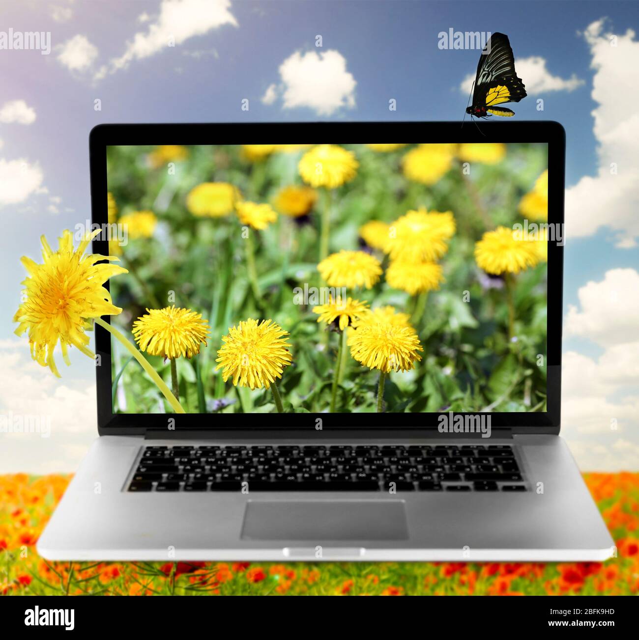 Laptop With Nature Wallpaper On Screen On Poppies Field Against Blue Sky Background Stock Photo Alamy
