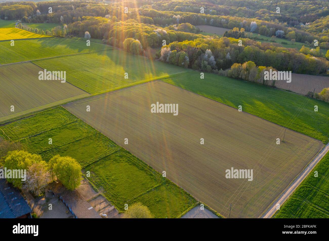 aerial view of Agriculture fields landscape in Spring Remagen Germany ...