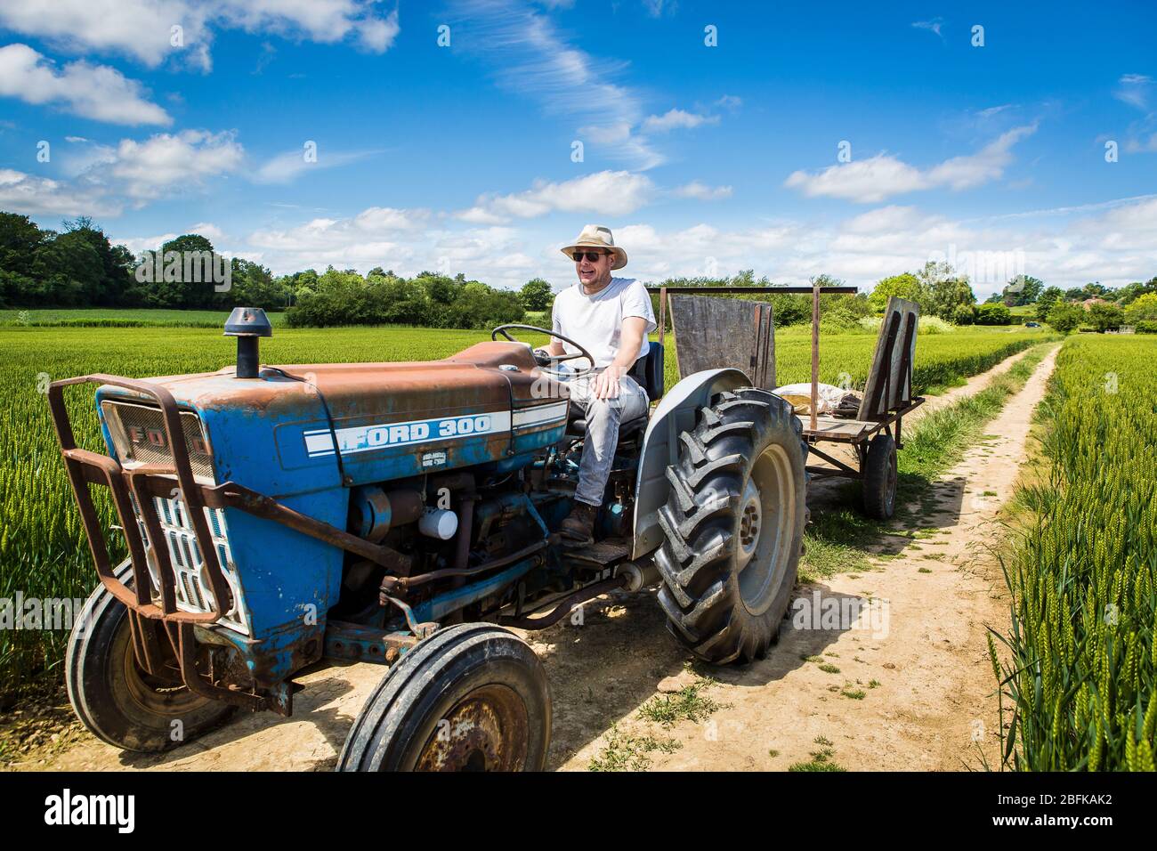 Hop farmer on tractor at hop harvest and hop picking at Larkins Brewery, award winning brewery and hop farm in Chiddingstone, Kent, UK Stock Photo