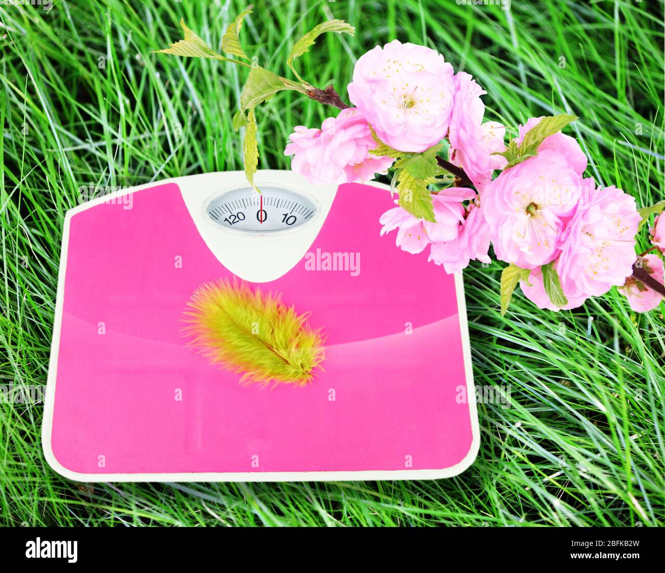 Feather on scales on green grass.  Losing weight for the summer Stock Photo