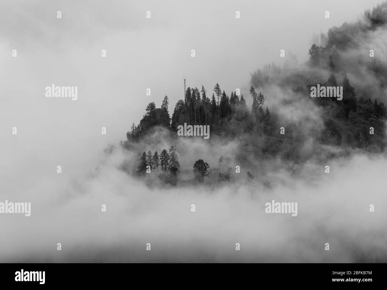 Foggy day in Austrian alps Stock Photo - Alamy