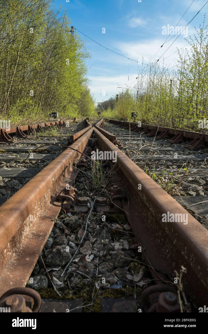 abandoned railway tracks Stock Photo