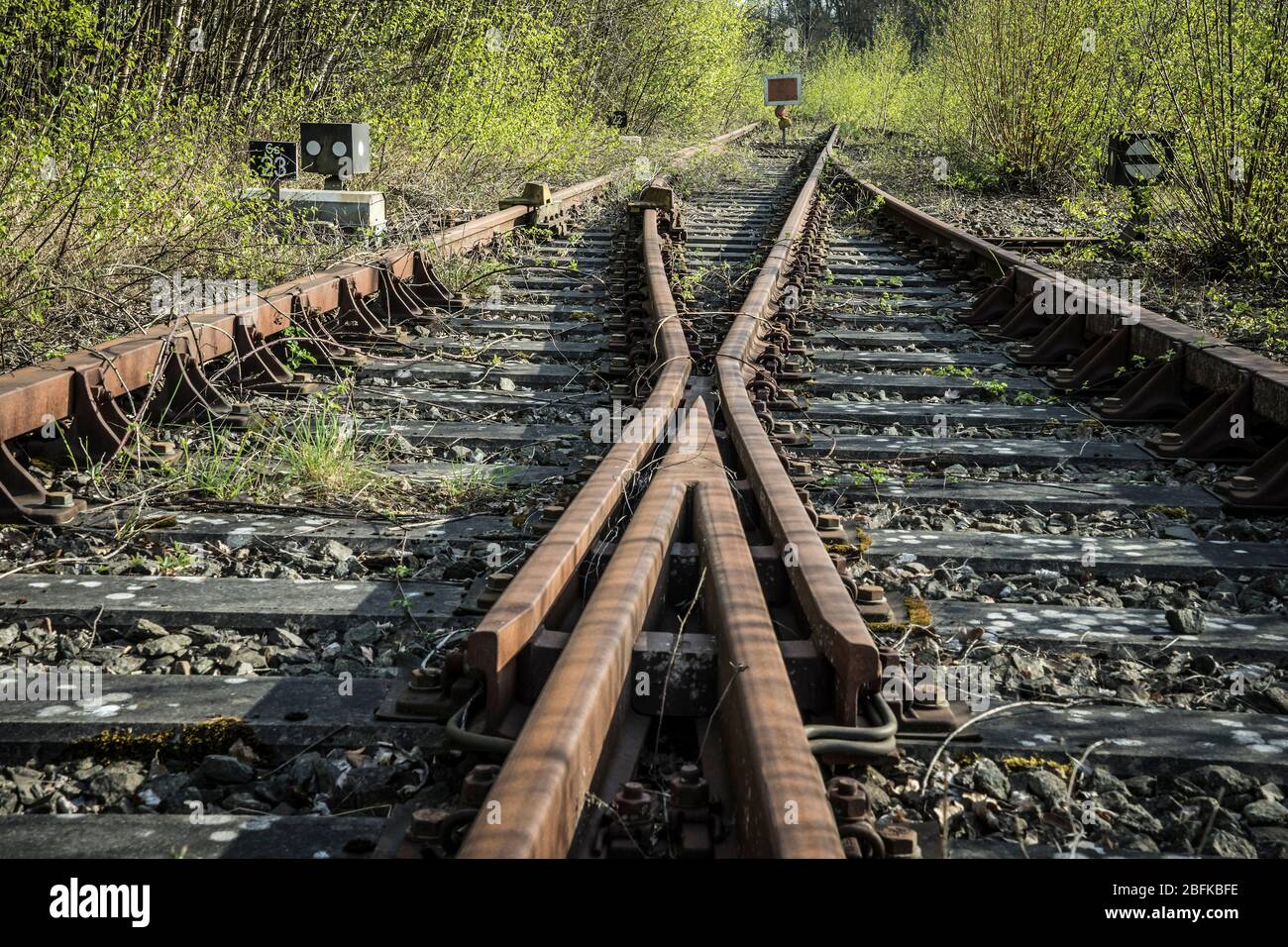 abandoned railway tracks Stock Photo