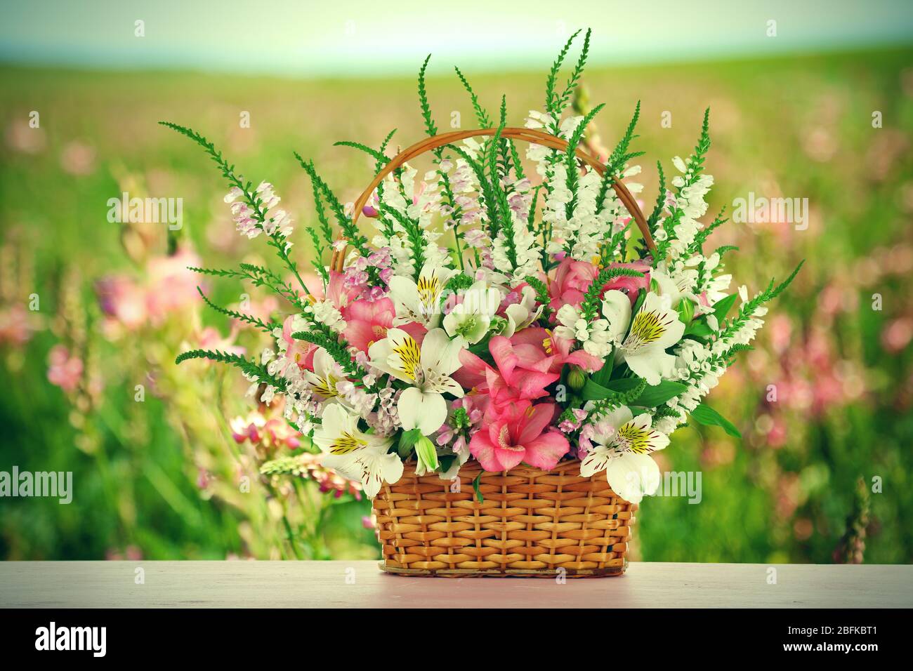 Beautiful wildflowers in wicker basket on field background Stock Photo ...