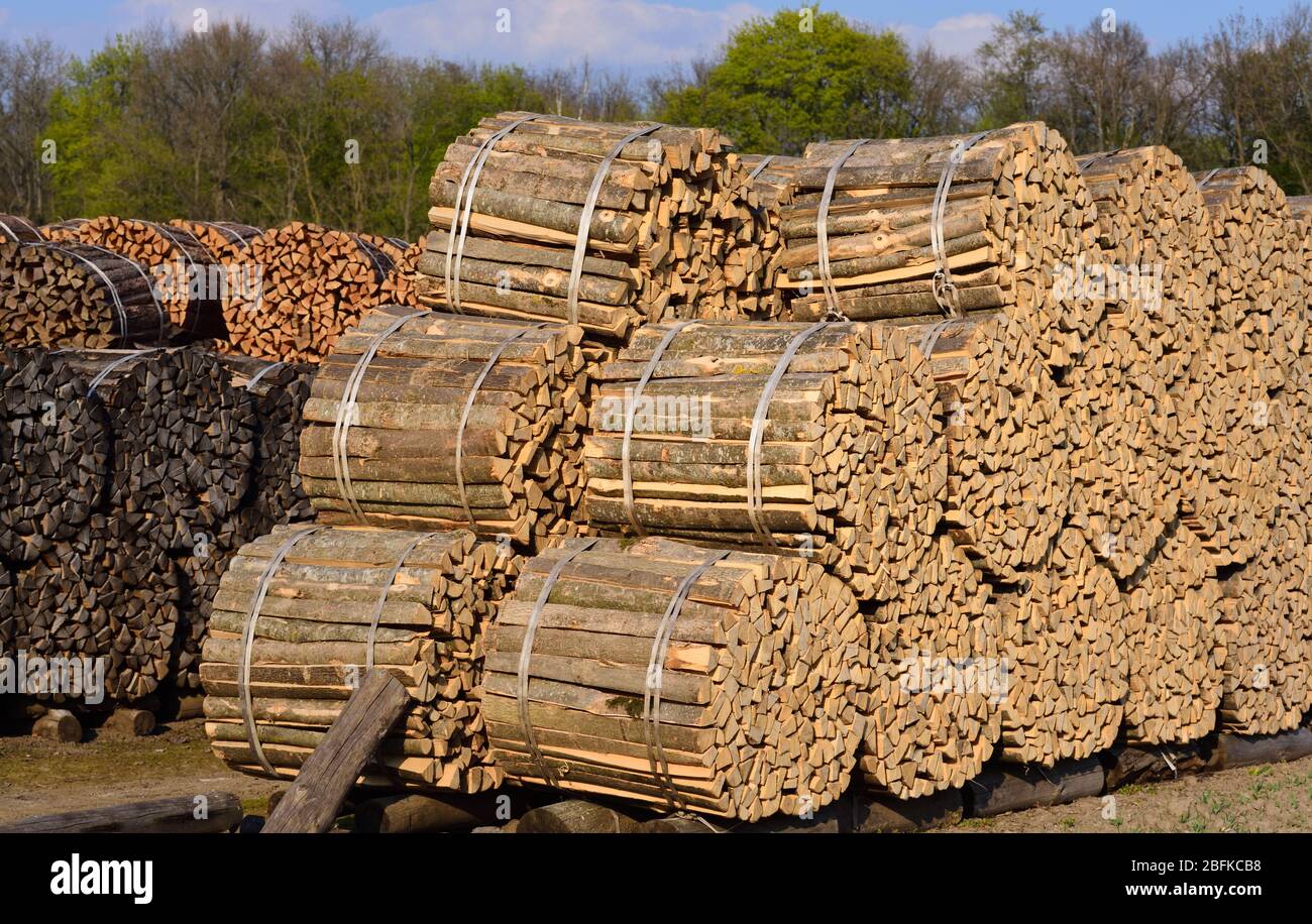 Background with a lot of cut, split and stacked firewood, which is ready for sale Stock Photo