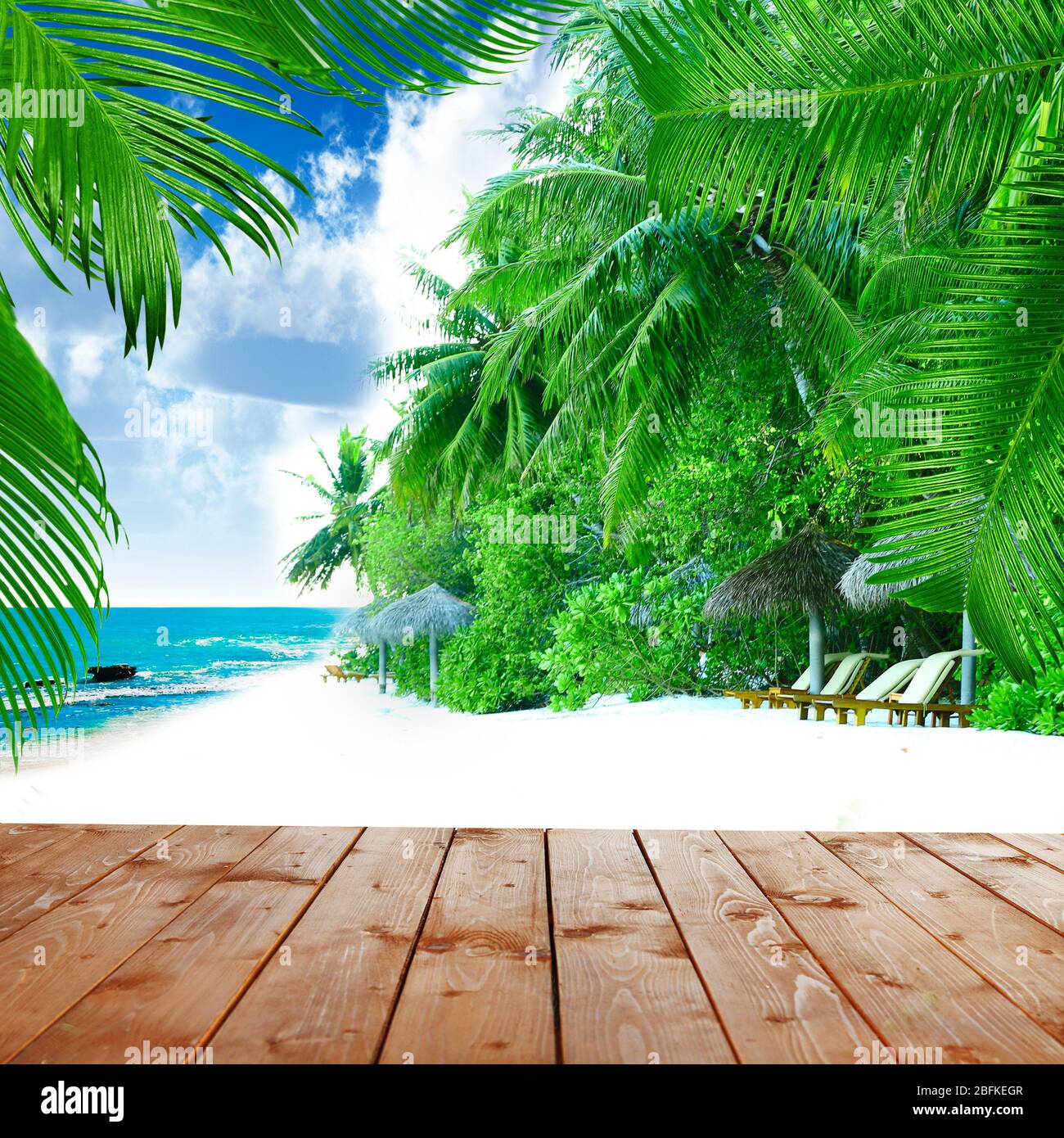 tropical paradise background