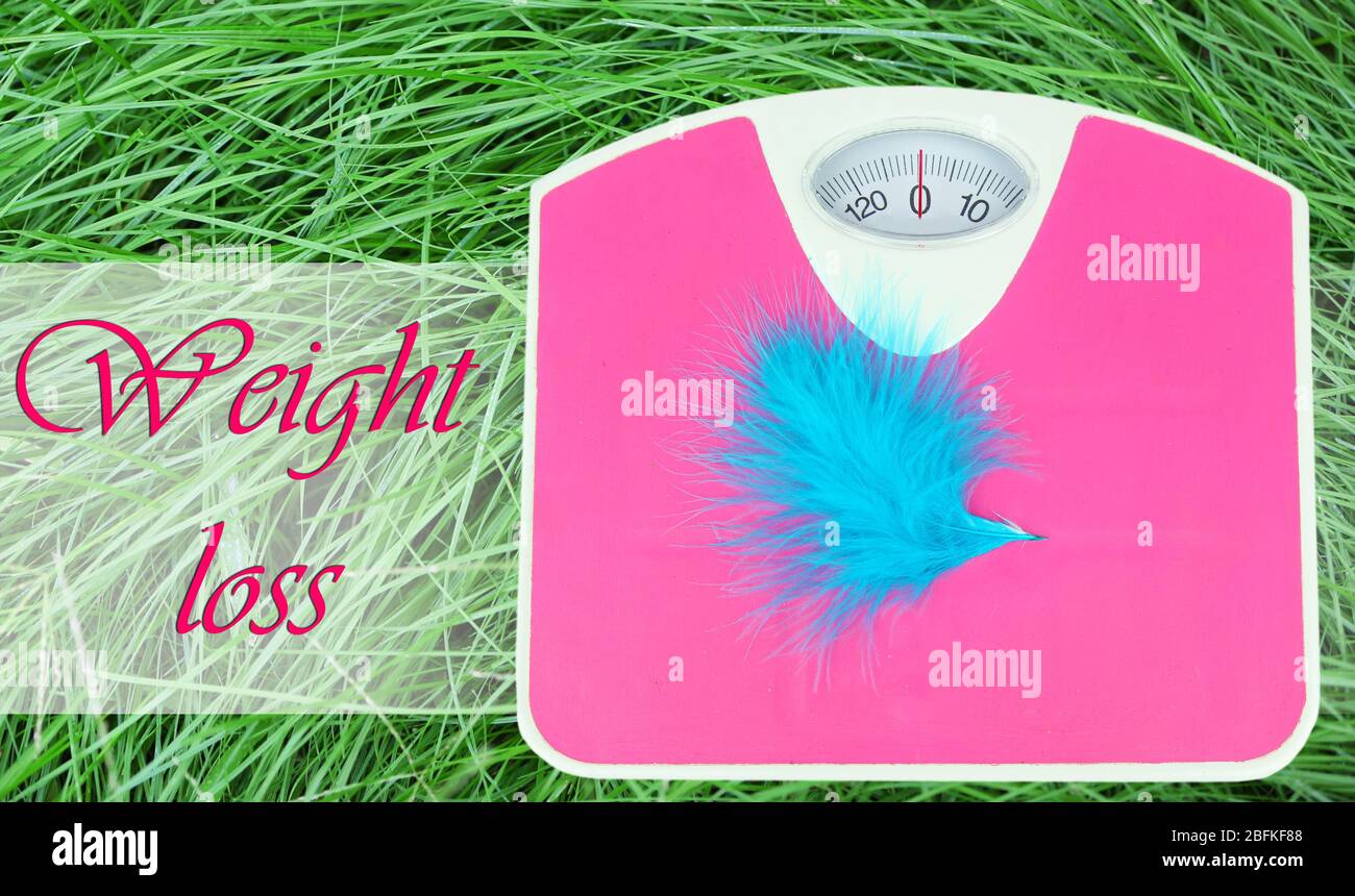 Feather on scales on green grass.  Losing weight for the summer Stock Photo