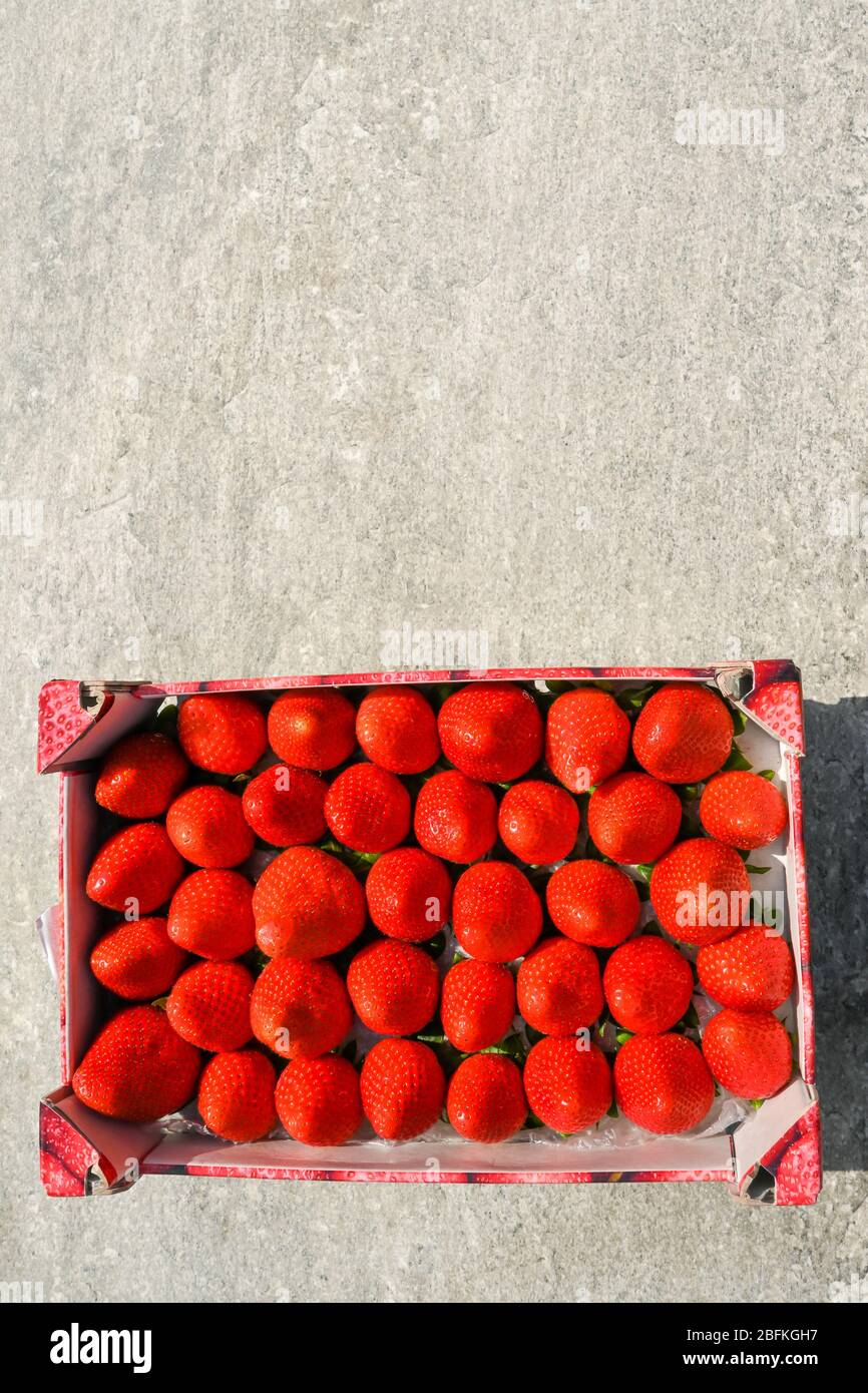 Ripe red strawberries packed neatly in a wooden box Stock Photo